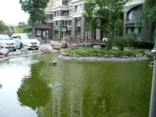 空中花园,俯瞰上海动物园,06年品质小区