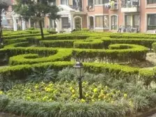 200万装修,百年梧桐景,正气两房,环境佳,视野好