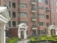 梧桐花园 0室0厅 西南