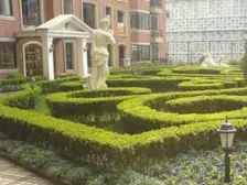 同户型成交多套+市场认可+房东诚意出售+精致装修