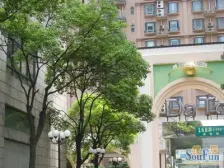 黄浦打浦桥板块,顶楼复式景观大宅