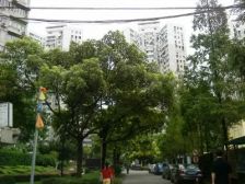 茅台花苑 2室1厅 南