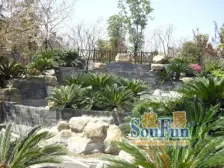 南翔C位 沿河独栋300平花园 双首层设计 3车位