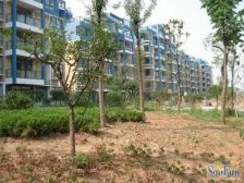 恒嘉花园,刚需一房随心装饰,滨河小区环境优美,地铁口800米