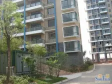 房子一梯两户南北通透,绿化好,小区环境好