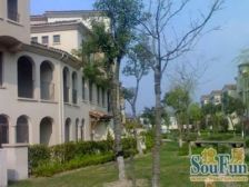 人车分流无抵押精装大平层,新上房源