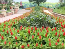 西区 中航翡翠城高层二房83万