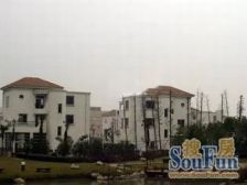 高泾路独栋别墅双面临河超大花园采光好