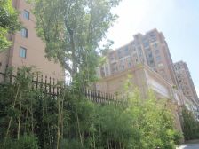 电梯房,小区中心位置,主卧朝南,南北通透,采光充足,交通便利,精装修