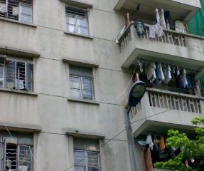 《优选》+老证+保养好+红领巾