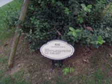 带北院子 4层别墅 钥匙在手 随时看房