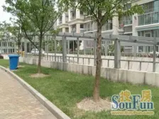 徐汇新城:店长推荐+电梯4楼+得房率高+价格可谈