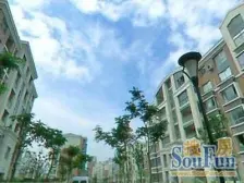 徐汇新城大一房 全明格局精 装修拎包入住看房联系小李