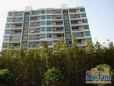 徐汇新城实景图