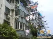 曹杨·曹杨五村-芙蓉园·1室·1厅