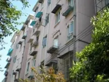 一梯两户,双南两房,采光视野好,求知+田三