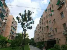 凉城·广中扩大小区·1室·1厅