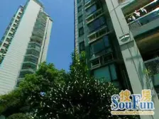 西部俊园 3室1厅 南 北