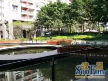 西向高层光线好,房间是木地板厅是白色的磁砖