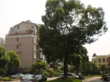 上大·聚丰景都·3室·2厅