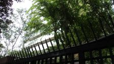 万科金域西岭3室1厅西南