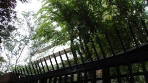 万科金域西岭3室1厅西南