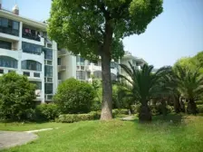 徐汇嘉善路 电梯双南边套两房 全明 南北通透 房型正气