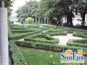 白天鹅花园 南向望花园 装修保养新净 拎包入住
