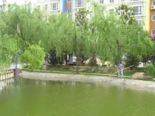 房子格局正气 空气对流 使用率超高