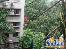 安静大院管理,商品房框架结构 电梯房