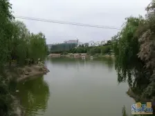 雁滩公园 湖景房 朝南毛坯价格可议 有钥匙随时看