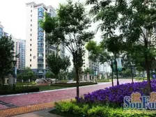 倚能黄河家园 5室3厅 南 北