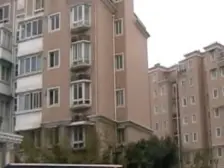 金杨·德乐苑·3室·2厅