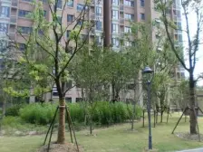 品质商品房小区,底楼复式,位置安静,精装修自住