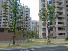 金色中环 流动水系旁景观 毛坯房等你来描绘梦想蓝图