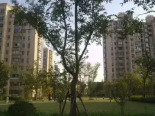 房子满五年,业主诚心出售,价格可谈,倒复式,