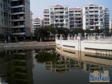 三房朝南,带地下室带花园,满五税少,看房方便