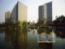 新上电梯中楼层,房型南北通,急售有空间,欢迎看房