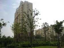 电梯房,大开间,品质小区,小区中心位置