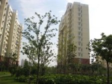 瑞和新苑江航路60弄 1室1厅 南 北