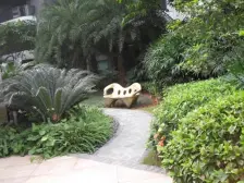 星河传说荷塘月色高层景观好,阳台大,东南向