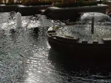 沙区唯一纯洋房小区,有鸟语花香也有都市繁华