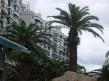 四季绿城 1室1厅 南 北