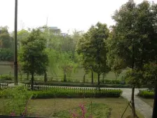 九歌上郡高楼层全明大一房看房方便