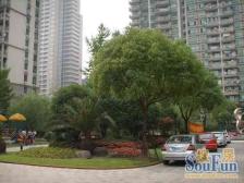 天际花园3室南朝向1999.00万元/套出售