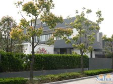 沁风雅泾4室2厅南