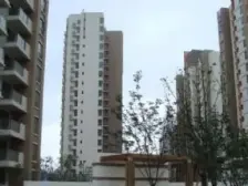 宝山区杨行柏丽华庭3室 杨泰杨行C位!电梯房