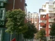 使用面积200平,顶楼复式,就一个字大!!!200