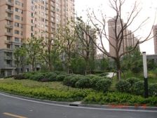 天山次新社区 中高区全南一房 居住舒适 超诚意 可谈