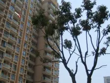 品质小区,环境优美,诚意出售,精装好房